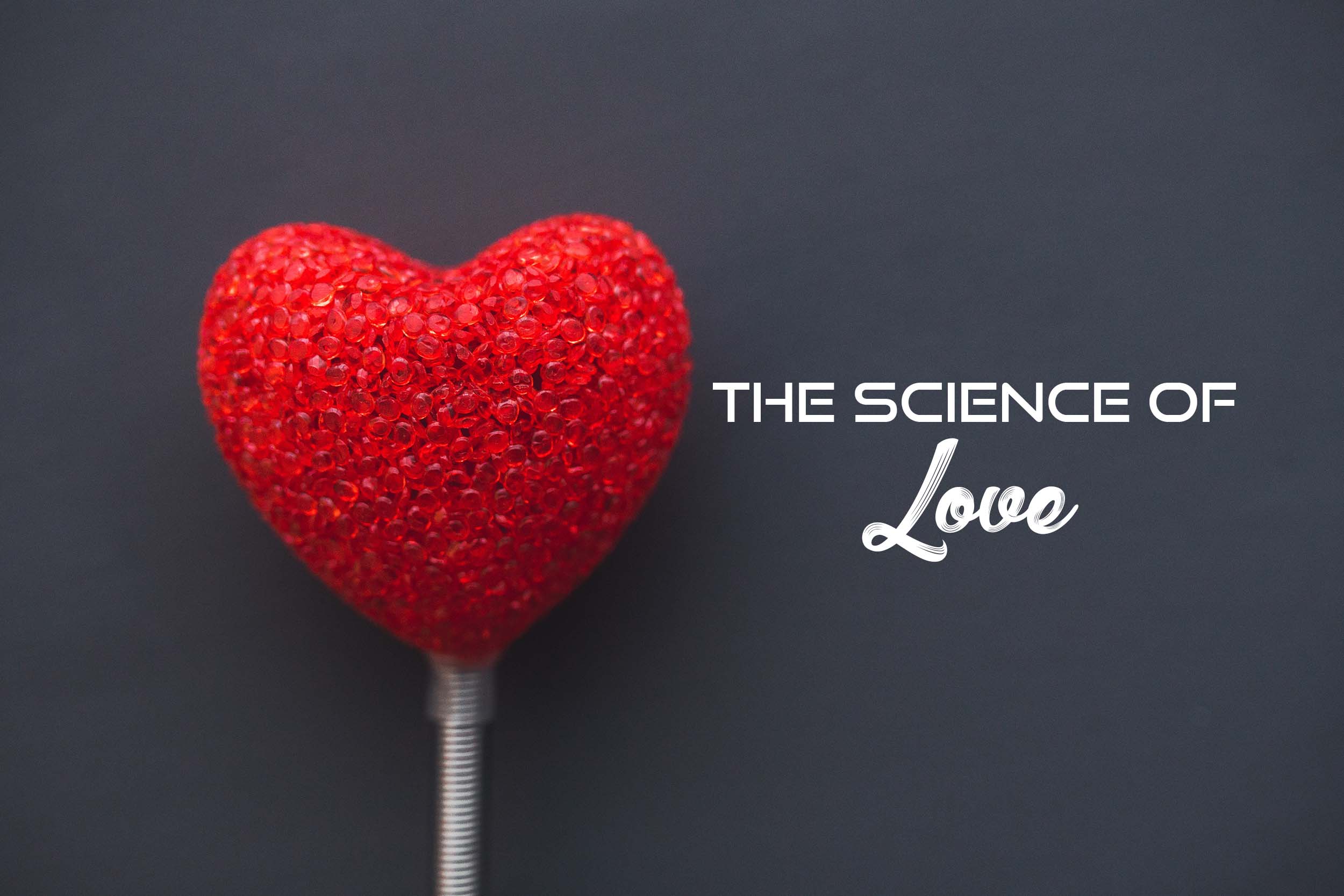 The Science of Love graphics