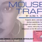 Mouse Trap - Silver Linings