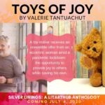 Toys of Joy - Silver Linings